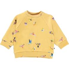 Molo 12-18M Sweatshirts Molo Dicte - Mini Birds (4W22J201-6654)