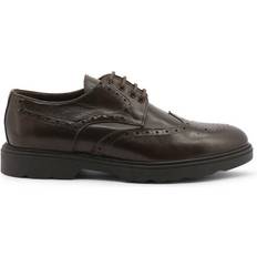 Duca di Morrone Dante - Brown