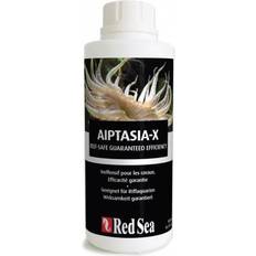 Red Sea Aiptasia-X kit 500ml