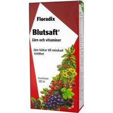 Ingefær Vitaminer & Kosttilskud Floradix Salus Blutsaft Large Bottle 500ml