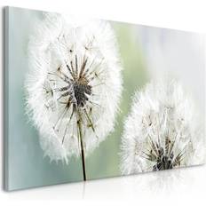 Artgeist af mælkebøtte Fluffy Dandelions Billede