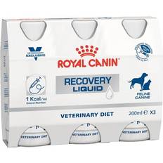 Royal Canin Hunde - Omega-6 - Vådfoder Kæledyr Royal Canin Recovery Liquid 3x200ml