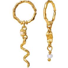 Maanesten Perler Øreringe Maanesten Evelyn Earrings - Gold/Pearls