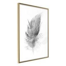 Artgeist Feather Grey Poster