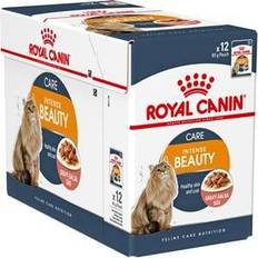 Royal Canin Intense Beauty in Gravy 12x85g