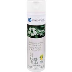 Dermoscent PYOclean Shampoo Katze 2