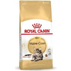 Royal Canin Katte Kæledyr Royal Canin Maine Coon Adult Kattemad 10kg