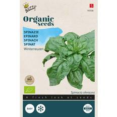 Grøntsagsfrø Buzzy Organic spinat Securo økologiske frø