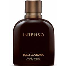 Dolce & Gabbana Unisex Parfumer Dolce & Gabbana EDP 200ml