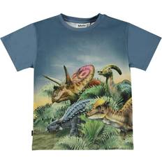 Molo 12-18M T-shirts Molo Raveno T-Shirt, Dino Friends