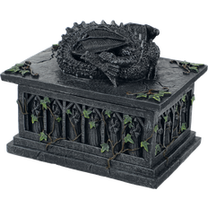 Nemesis Now Opbevaringsbokse Nemesis Now Dragon Tarot Card Storage Box