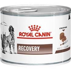 Royal Canin Recovery 12x195g