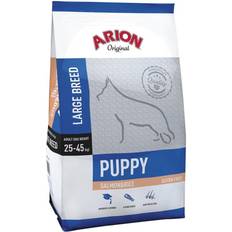 Arion Hunde - Kobber - Tørfoder Kæledyr Arion Puppy Large Salmon & Rice 12kg