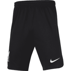 Nike Liverpool FC Bukser & Shorts Nike Liverpool Udebaneshorts 2023/24 Børn XL: 158170