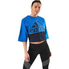 Adidas 16 Sweatere adidas 2Cb Ss Crew Blue, Female, Tøj, Skjorter, blå