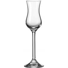 Leonardo Grappa Daily Drinksglas