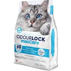 Intersand OdourLock MaxCare