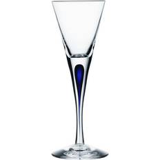 Orrefors Mundblæste Glas Orrefors Intermezzo Snapseglas 6cl