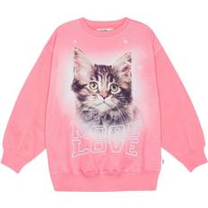 Molo 140 Overdele Molo Monti Sweatshirt, Love Cat