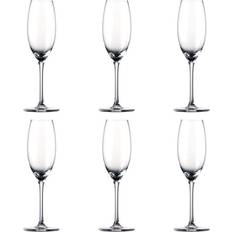 Rosenthal Transparent Glas Rosenthal Thomas Divino Champagneglas 19cl 6stk