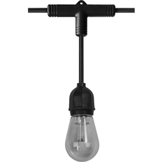 LEDVANCE Dæmpbare Lamper LEDVANCE Smart + String Light Black/Clear Lyskæde 12 Pærer