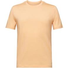 Esprit Bomuld T-shirts & Toppe Esprit Jersey-T-Shirt mit Rundhalsausschnitt PASTEL ORANGE
