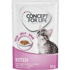 Concept for Life Katte - Vådfoder Kæledyr Concept for Life Maine Coon Kitten