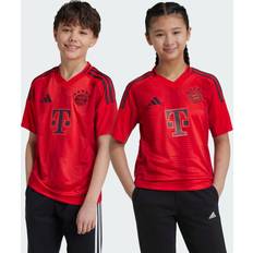 Adidas Fodboldsæt adidas Bayern München Hjemmebanetrøje 2024/25 Børn ['176 cm']
