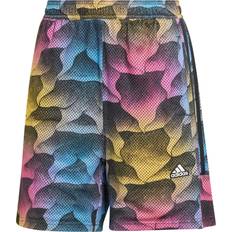 Dame - Fitness - Gul - L Bukser & Shorts adidas SPORTSWEAR Sportsbukser 'Tiro Q2' azur gul pink sort azur gul pink sort