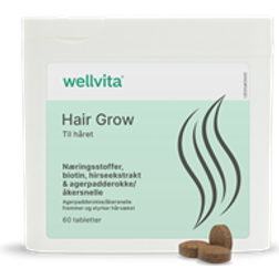 Wellvita Hair Grow 60 stk