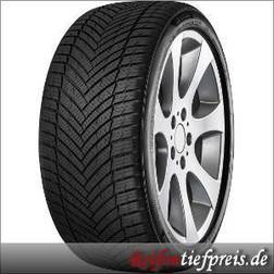 Minerva AS MASTER 205/65 R15 94V