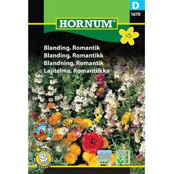 Hornum Blanding Romantik