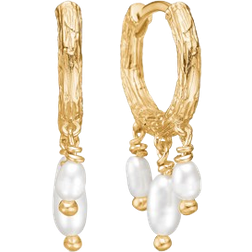 Studio Z Twine Earrings - Gold/Pearls