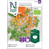 Nelson Garden Planter & frø • Se pris på PriceRunner »