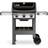 Weber Spirit II E-310 GBS