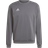 adidas Entrada 22 Sweatshirt Men - Team Grey Four