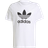 adidas Adicolor Classics Trefoil T-shirt - White/Black