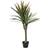 Europalms Kunstig Dracena, 120cm Kunstig plante