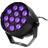 Ibiza UV light Spot 12 X 2W