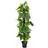 Europalms Pothos artificial, 180cm TILBUD NU Kunstig plante