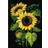 Riolis diamond mosaic kit sunflowers, diy