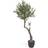 LaForma oliventræ Kunstig plante