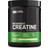 Optimum Nutrition Micronized Creatine Powder 317g