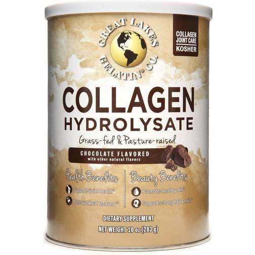 great-lakes-collagen-hydrolysate-powder-chocolate-flavored-10-oz-pris