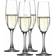 Spiegelau Authentis Champagneglas 19cl 4stk
