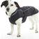 Buster Winter Jacket S