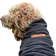 Siccaro Recovery-Heat-Reflecting Dog Coat L