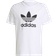 adidas Adicolor Classics Trefoil T-shirt - White/Black