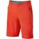 Montane Terra Alpine Shorts