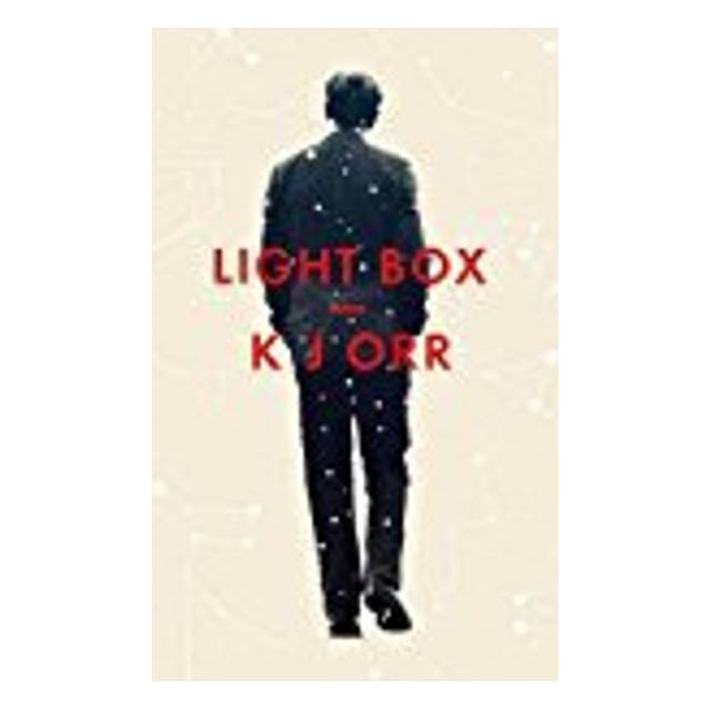 Light box - dba.dk - Køb og Salg af Nyt og Brugt
